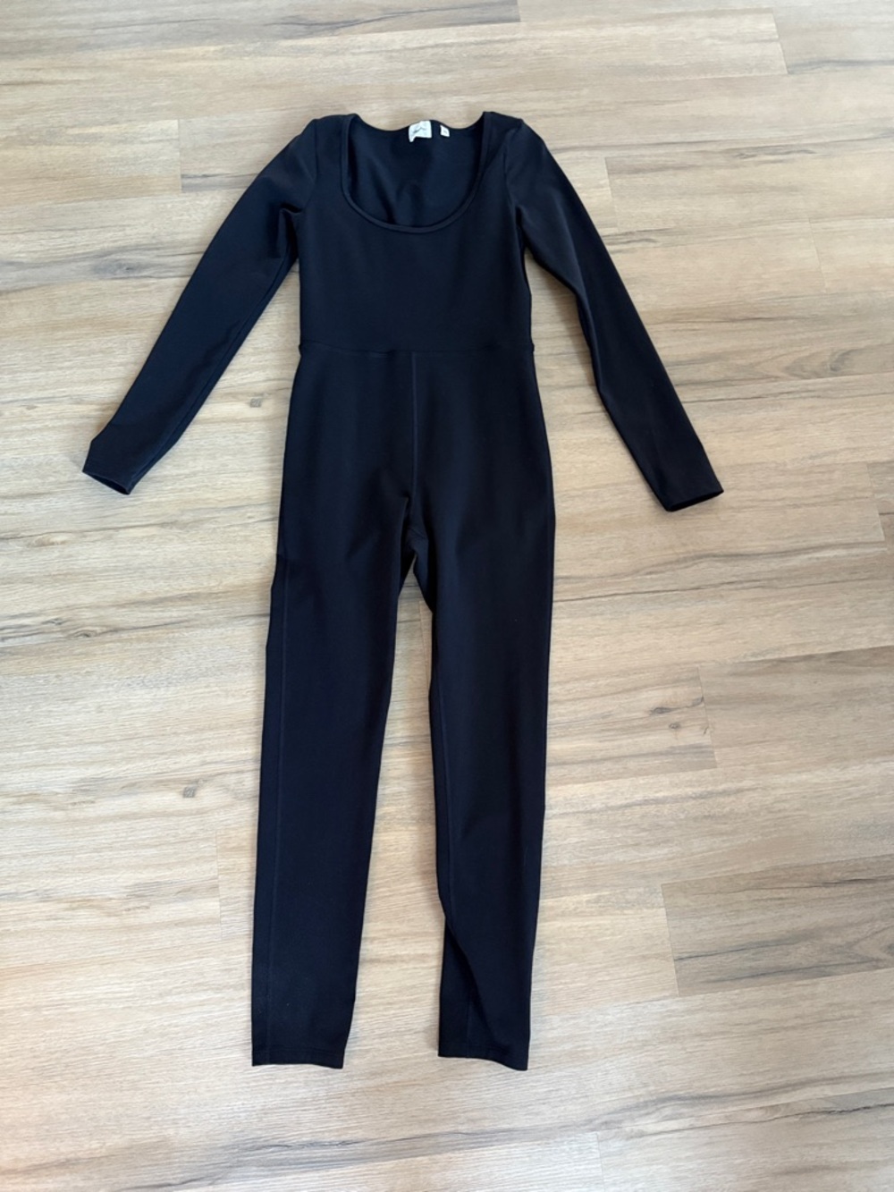 Aritzia full sleeved one piece (WILFRED FREE)